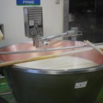 how cheese is made