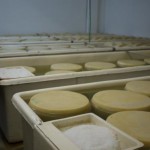 the brine process for hard chesse
