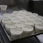 Ricotta cheese
