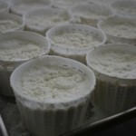 ricotta