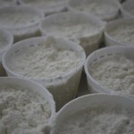 just made cheese