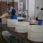 Parmesan making