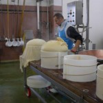 cheese master at work