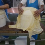 how to make parmesan