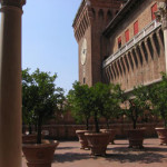 Ferrara - potted orange trees