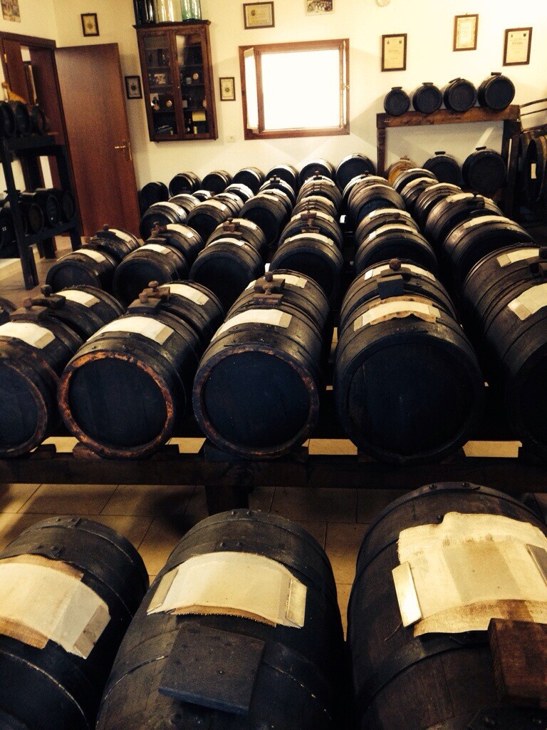 Rows of wooden barrels aging balsamic vinegar in a traditional cellar.