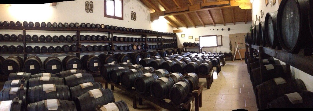 Rows of wooden barrels aging balsamic vinegar in a traditional Italian acetaia.