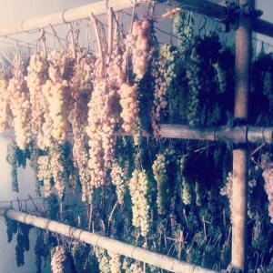 vin santo in Chianti