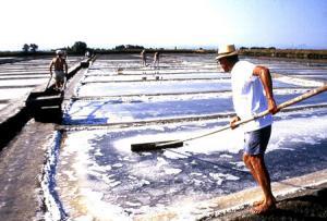 Cervia salt pans