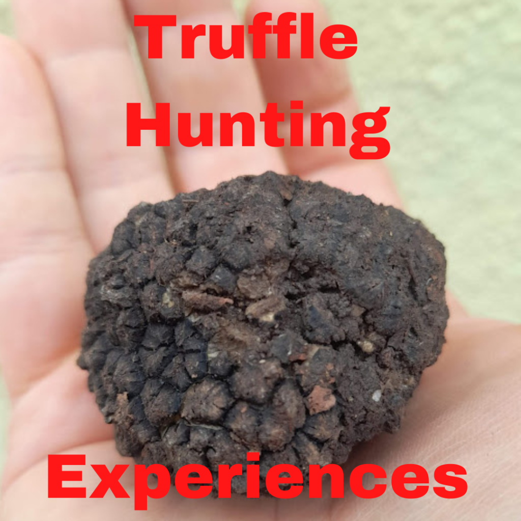 Channel 4 “Food Unwrapped” comes to Modena to discover balsamic vinegar