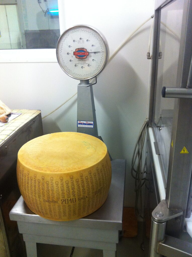 Casaro lifting Parmigiano Reggiano curd from copper vat at a dairy in Emilia-Romagna