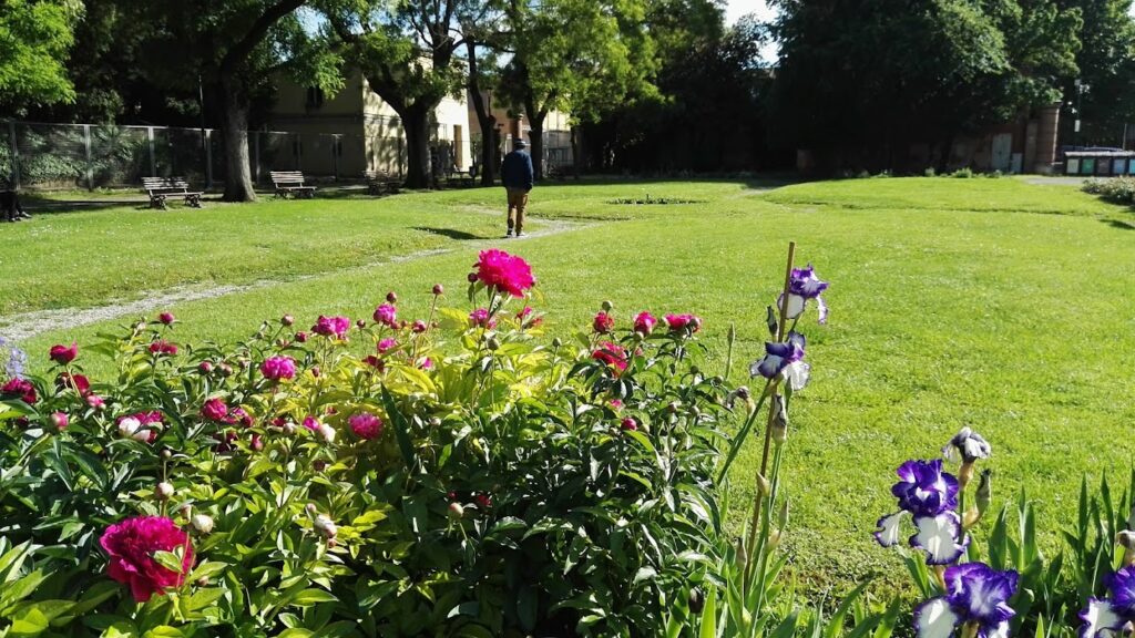 Colorno scenic view with vibrant pink and purple flowers, a path, and a person walking in the distance under green trees.