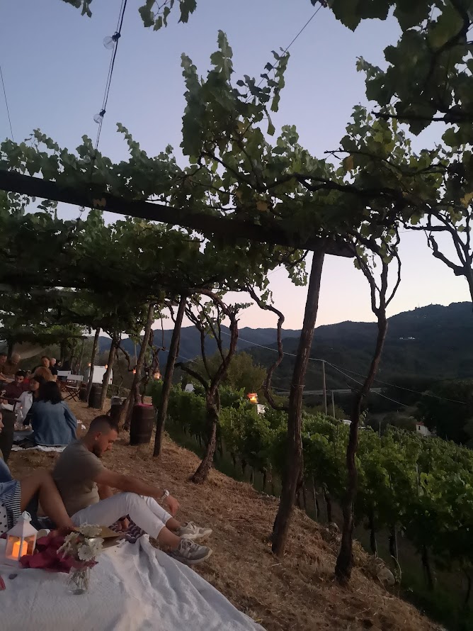 People relaxing at a vineyard picnic under grapevines during sunset with scenic mountain views.