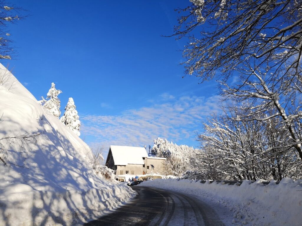 Snow-covered road with a rustic house and trees under a bright blue sky, creating a serene winter scene.