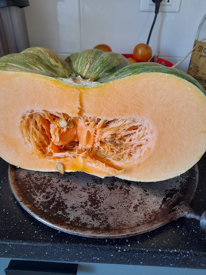 Pumpkin in autumn — a seasonal symbol of the November 1st period in Bologna