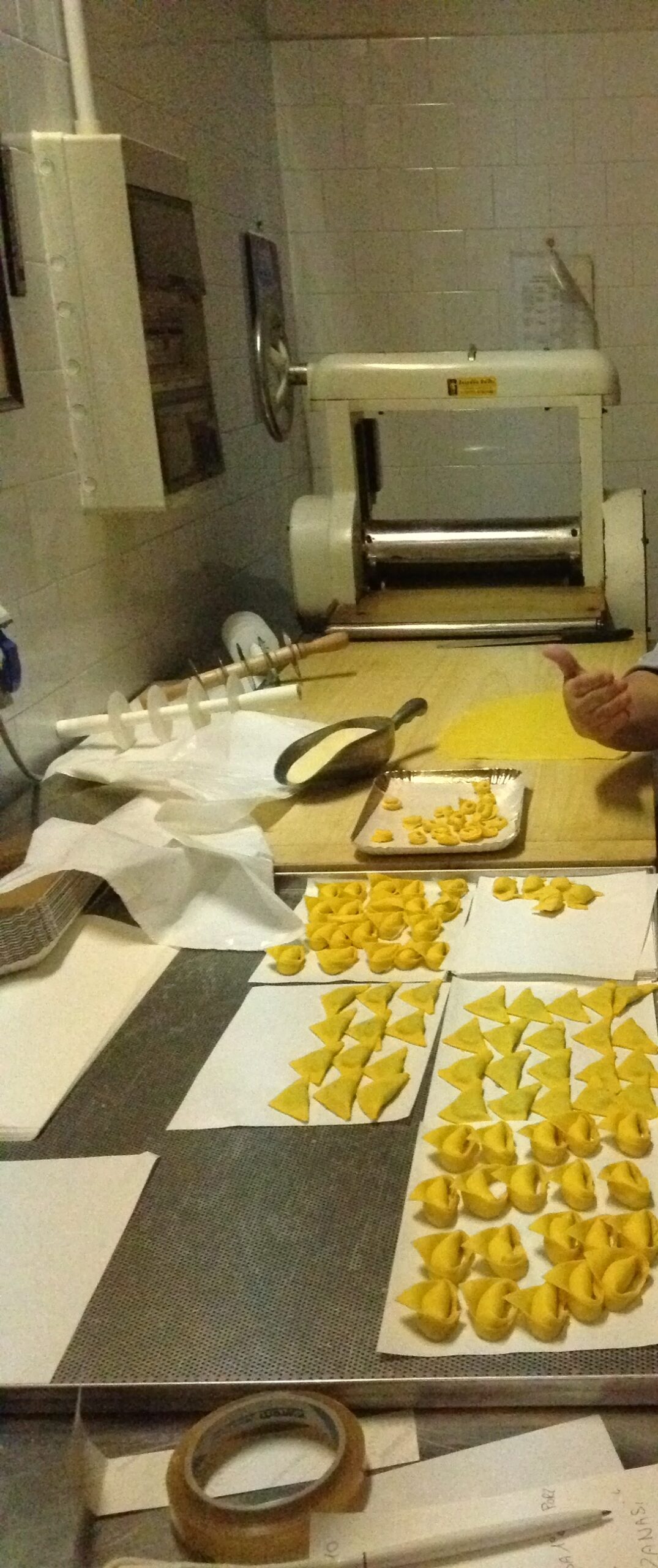 Sfoglina bei der Zubereitung von Tortellini in einer Küche in Bologna — traditionelle Pastaherstellung