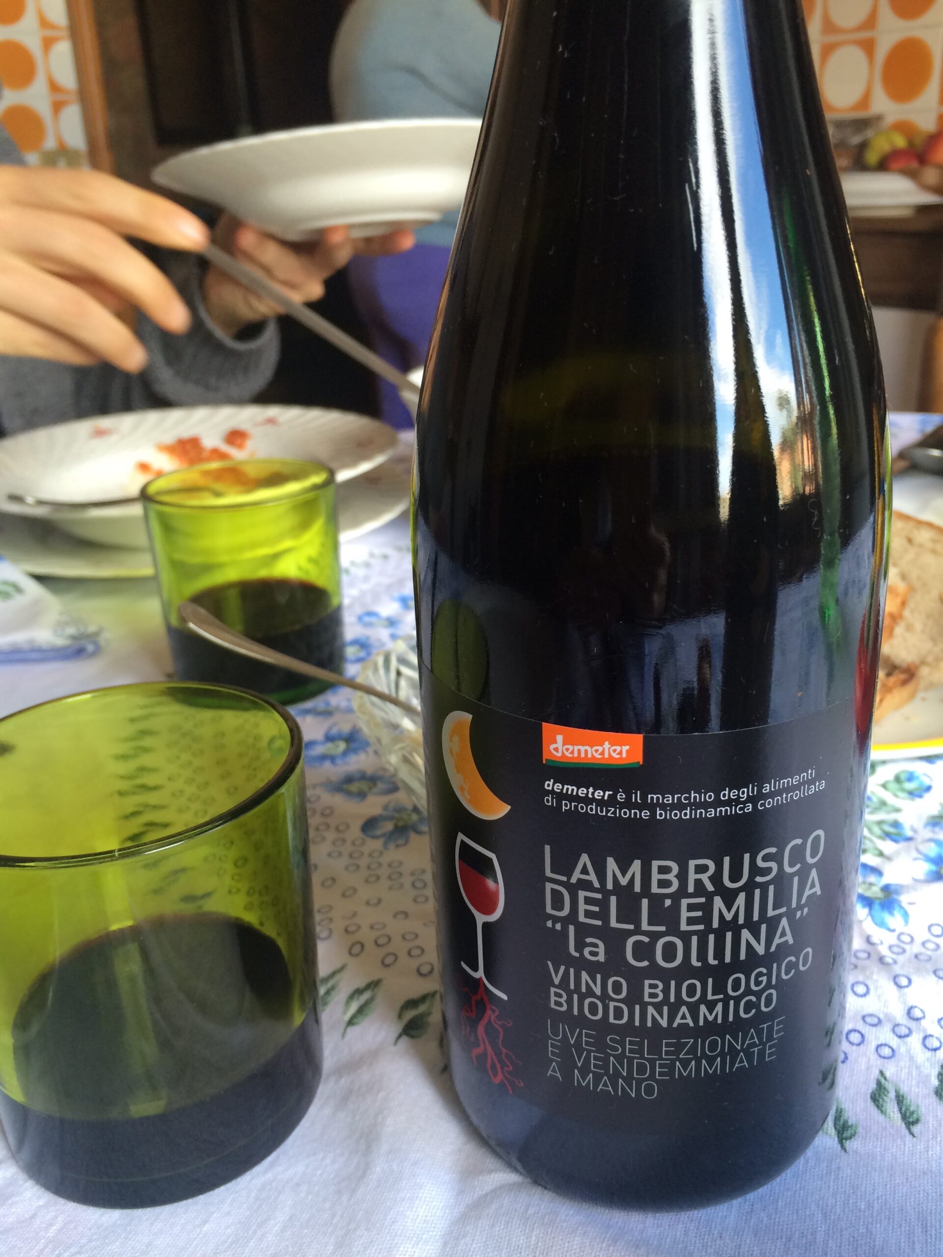 Biologischer Lambrusco dell'Emilia beim Bauernbrunch auf einem Agriturismo in Modena