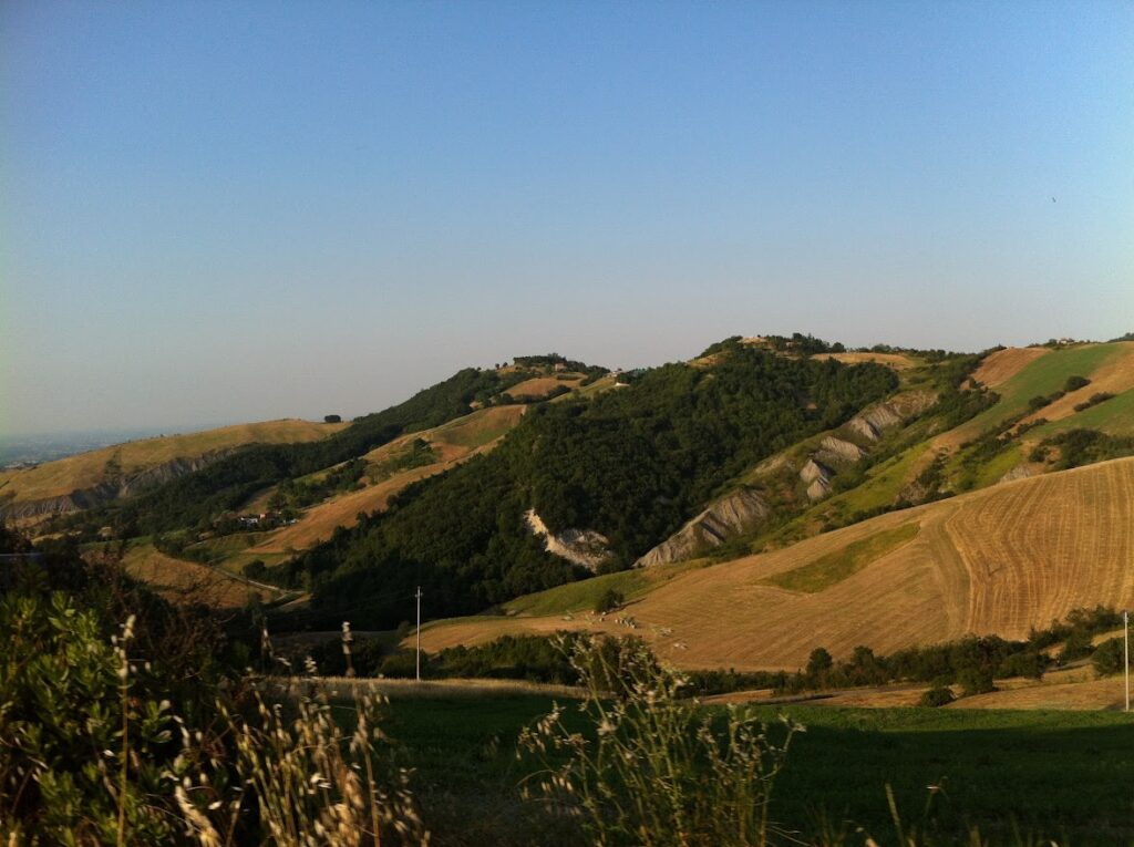 Rolling hills of the Le Marche countryside — the landscape between the Adriatic coast and the Apennines