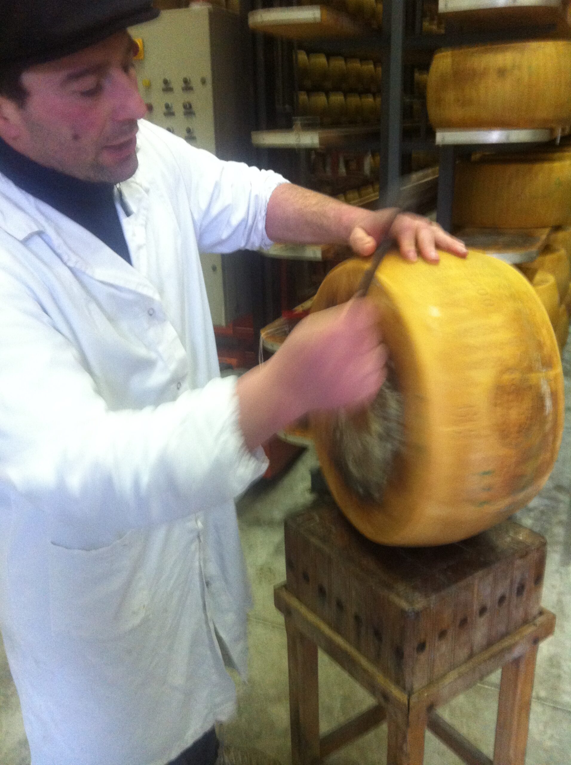 Casaro breaking open a wheel of Parmigiano Reggiano at an Emilian dairy