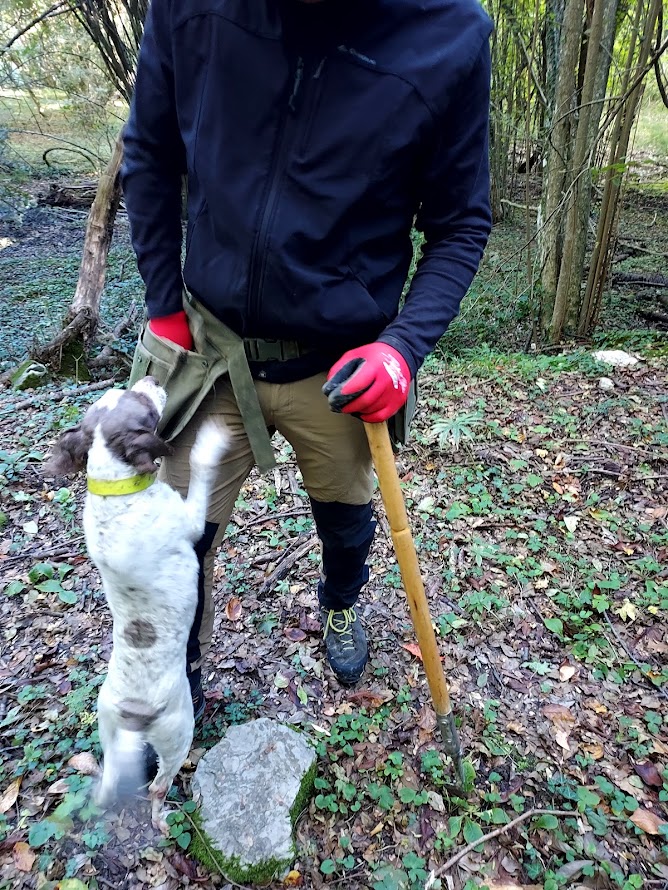 Truffle hunting in the forests of Pontremoli, northern Tuscany